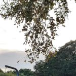 Ben's Campground