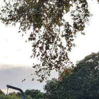 Ben's Campground ico