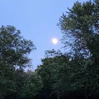 Burns Run West Campground ico