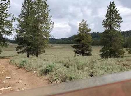 Beaver Creek Campground