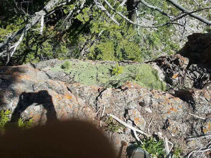 Beaver Creek Campground Picture 6