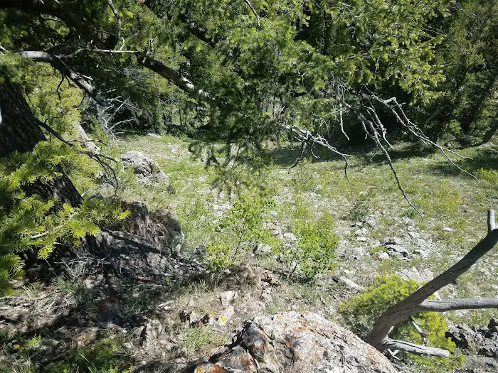 Beaver Creek Campground Picture 10