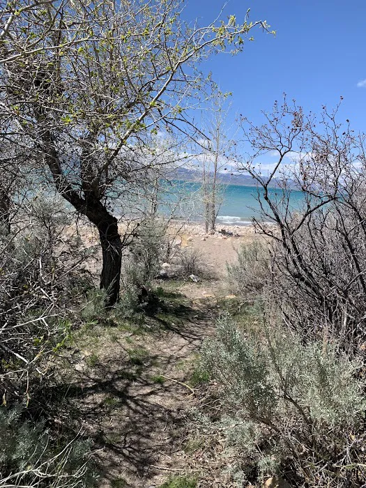 Bear Lake State Park - Sage Springs Group Camp Picture 8