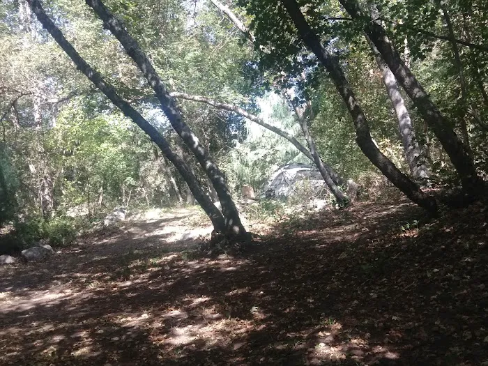 High Creek Campground Picture 5