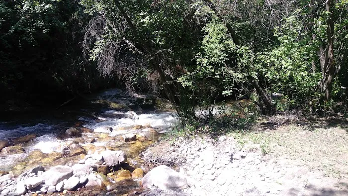 High Creek Campground Picture 2