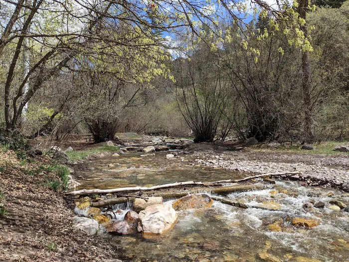 High Creek Campground Picture 8