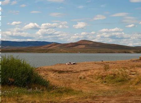 Viva Naughton Marina Campground