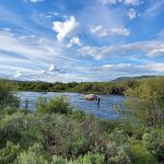 Warren Bridge Campground