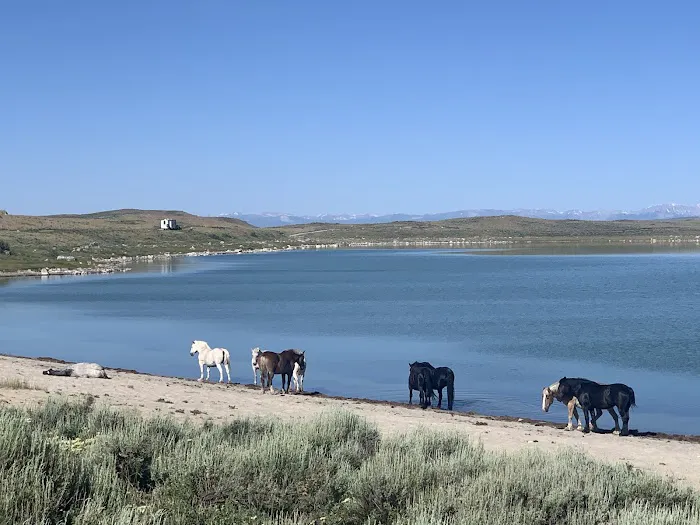 Soda Lake Campground Picture 2