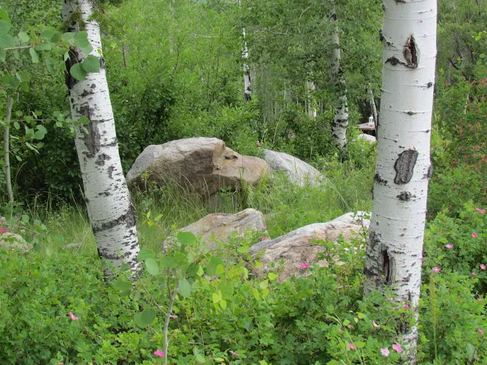 Fremont Lake Campground Picture 3