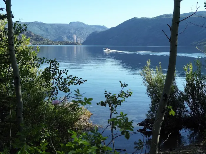 Fremont Lake Campground Picture 6