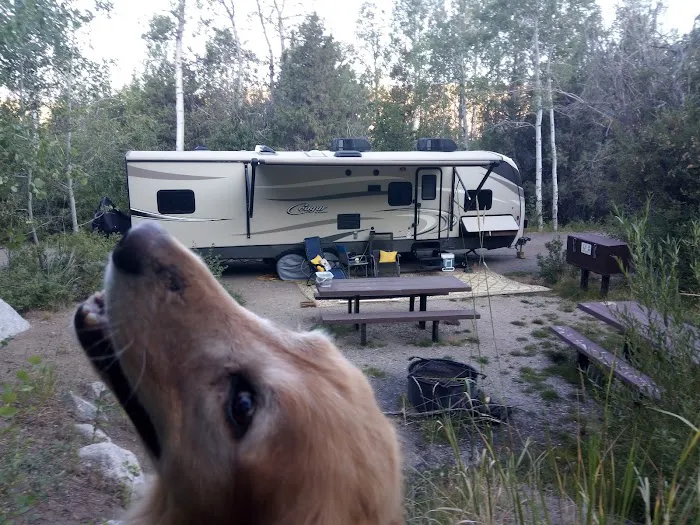 Fremont Lake Campground Picture 8