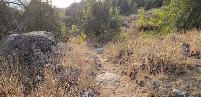 Half Moon Lake Campground Picture 5
