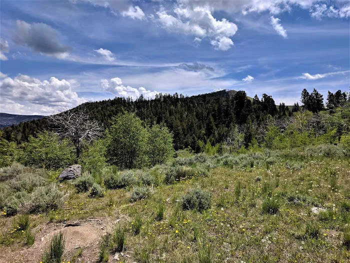 Half Moon Lake Campground Picture 8