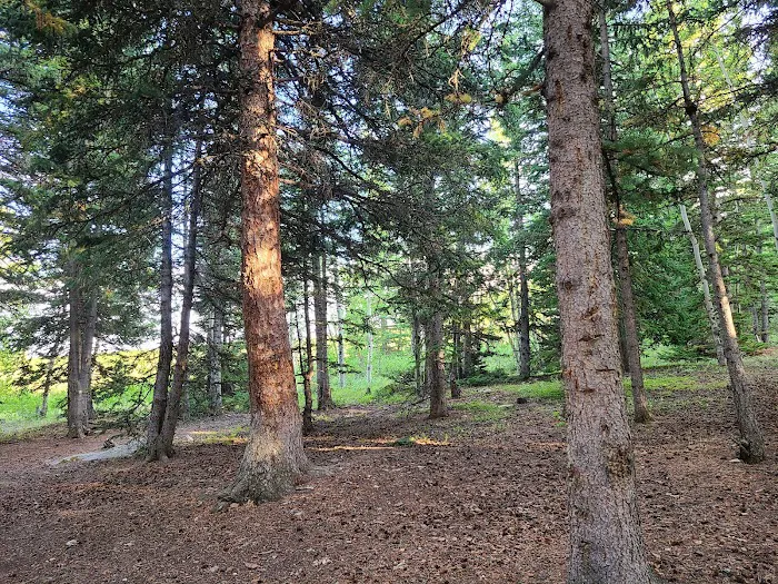 Circle Park Campground Picture 8