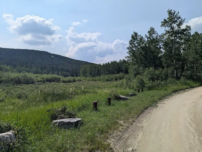 Circle Park Campground Picture 5