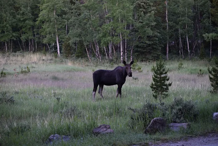 Circle Park Campground Picture 7