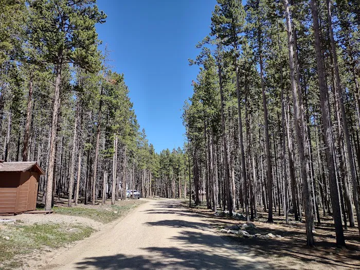 Tie Hack Campground Picture 1