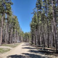 Tie Hack Campground ico