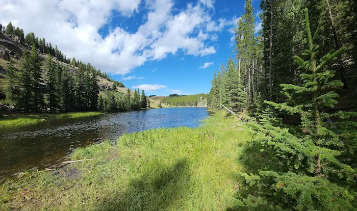 South Fork Campground Picture 2