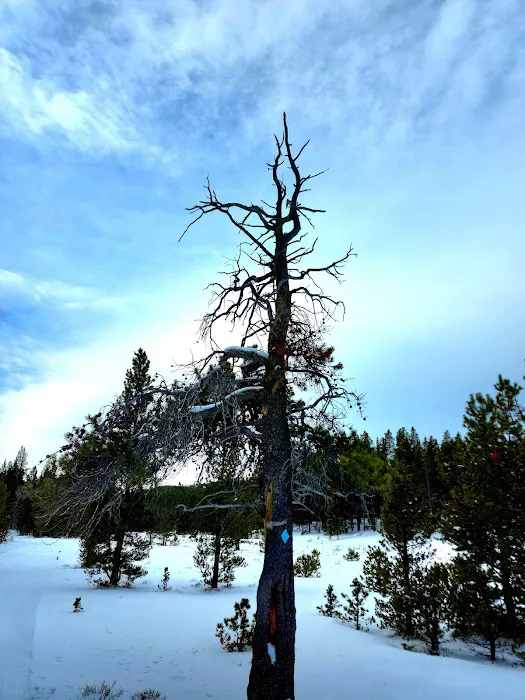Pole Creek X-Country Site Picture 7