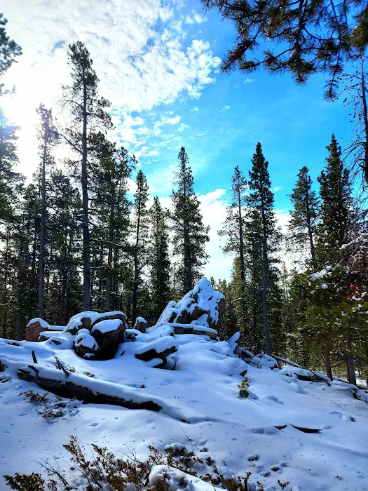 Pole Creek X-Country Site Picture 5