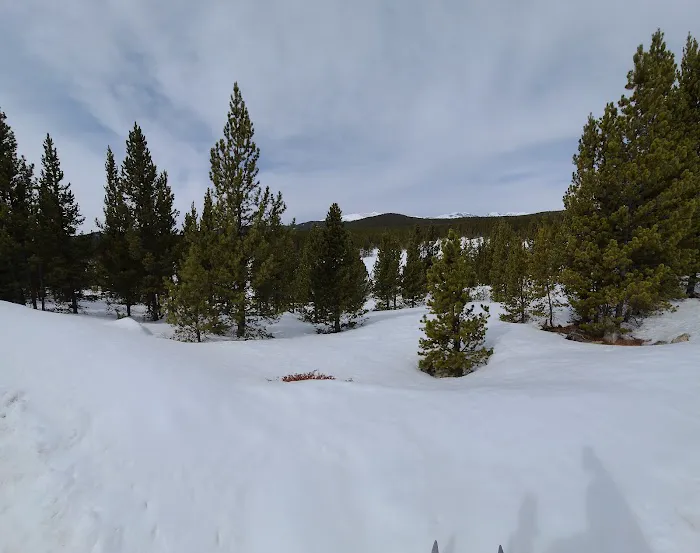 Pole Creek X-Country Site Picture 10