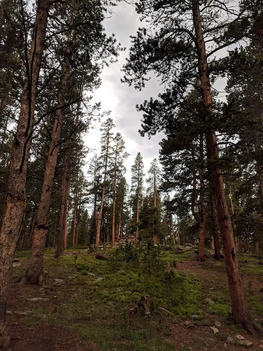 POLE CREEK CABIN Picture 7