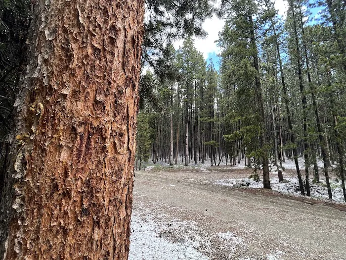 LOST CABIN CAMPGROUND Picture 5