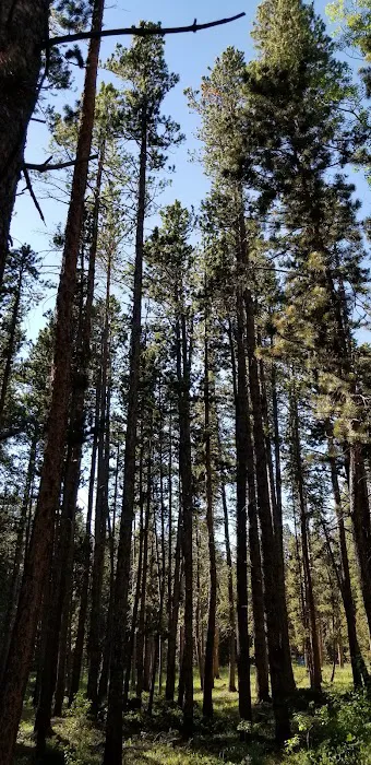 LOST CABIN CAMPGROUND Picture 3
