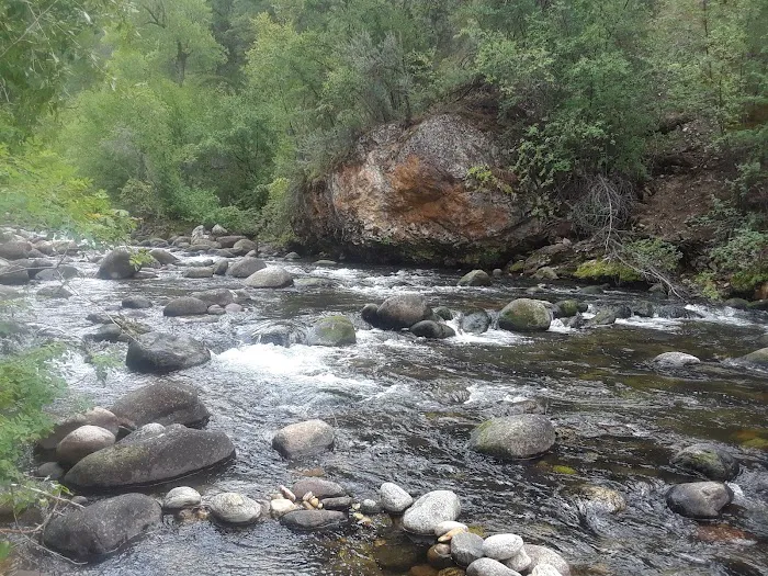 Leigh Creek Campground Picture 4