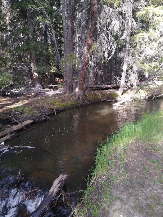 Doyle Campground Picture 7