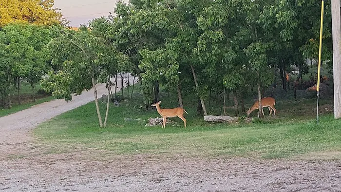 Turner Falls Camp Ground Picture 9