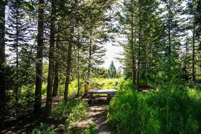 Sunrise Campground Picture 1