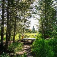 Sunrise Campground ico