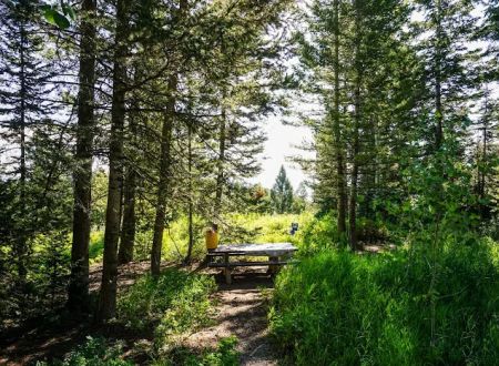Sunrise Campground