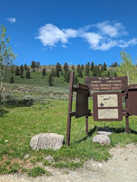 Sunrise Campground Picture 4