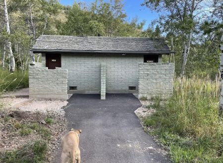 Lewis M. Turner Campground
