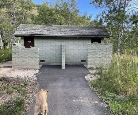 Lewis M. Turner Campground