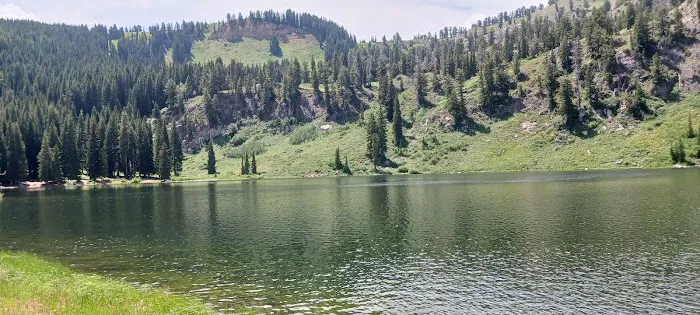 Lewis M. Turner Campground Picture 3