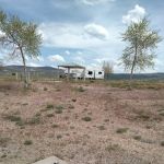 Willow Campground