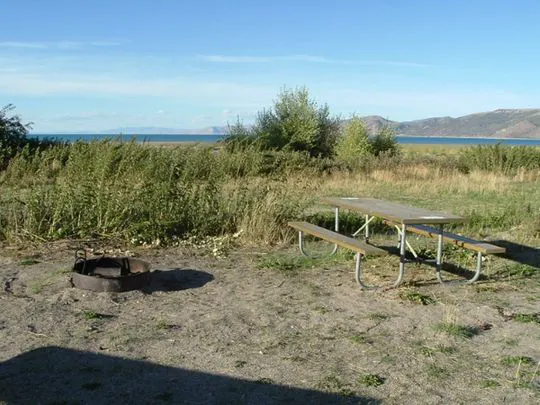 Cottonwood Campground Picture 2