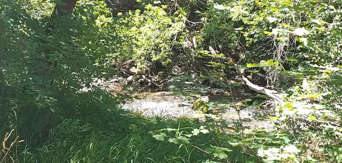 Smithfield Campground Picture 10