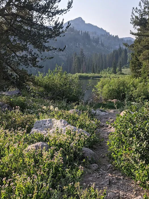 Tony Grove Campground Picture 4