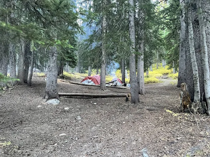 Tony Grove Campground Picture 5