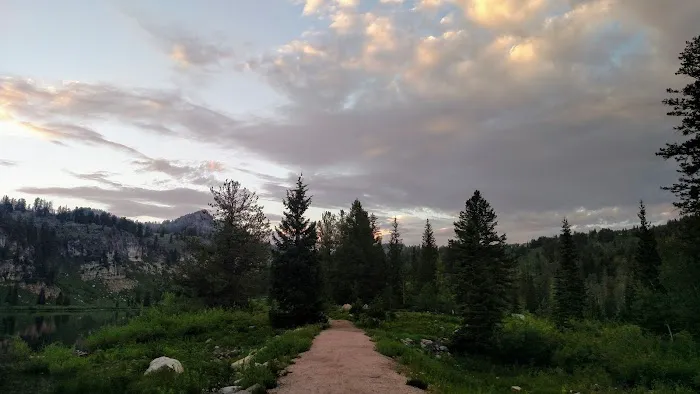 Tony Grove Campground Picture 9