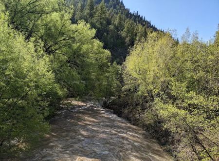 Wood Camp Campground