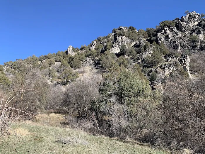 Preston Valley Campground Picture 2