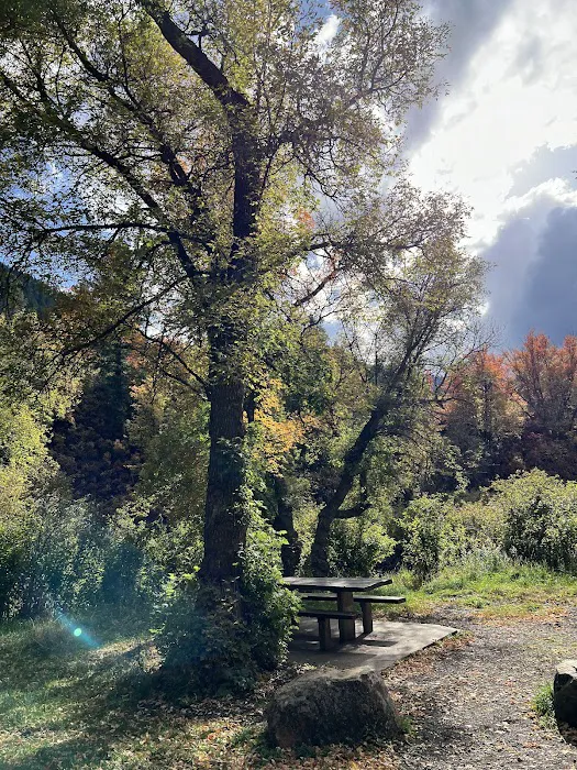 Preston Valley Campground Picture 5