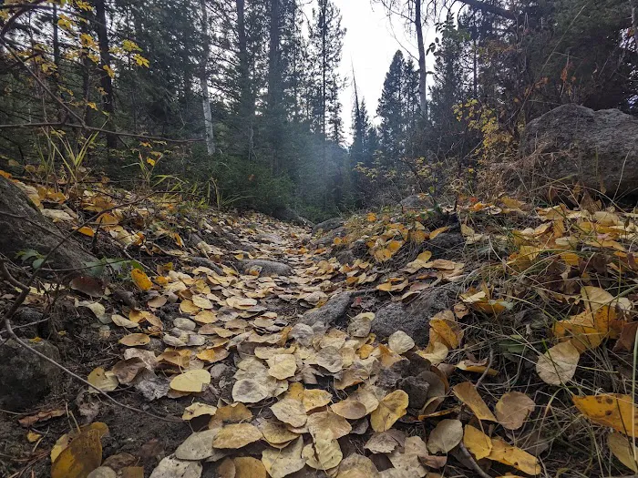 Boulder Lake Campground Picture 1